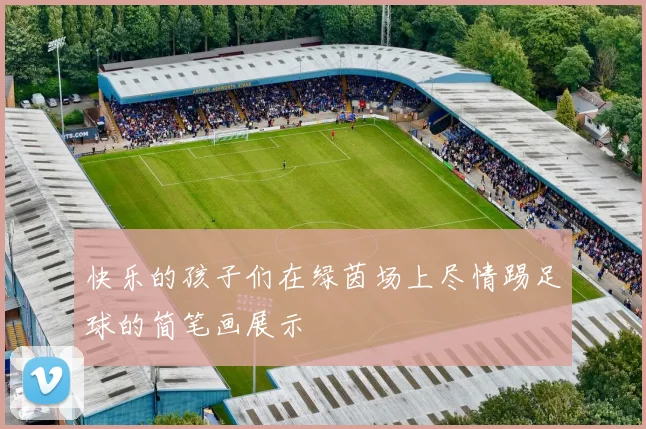 快乐的孩子们在绿茵场上尽情踢足球的简笔画展示