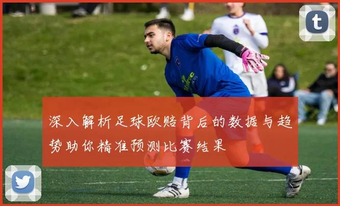 深入解析足球欧赔背后的数据与趋势助你精准预测比赛结果