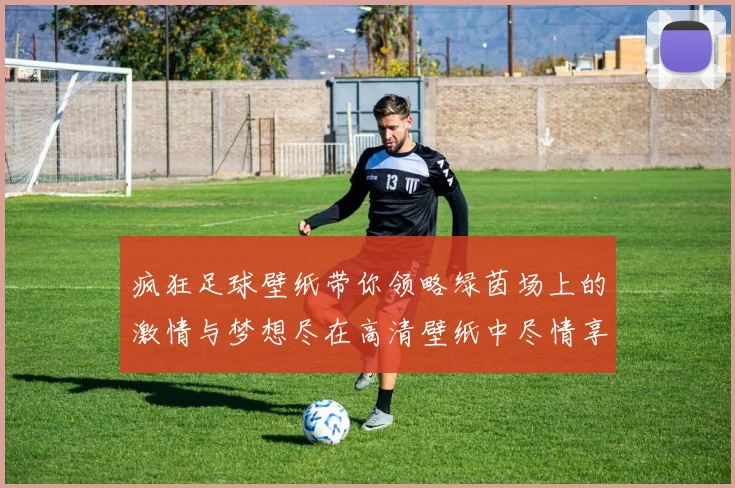 疯狂足球壁纸带你领略绿茵场上的激情与梦想尽在高清壁纸中尽情享受足球魅力