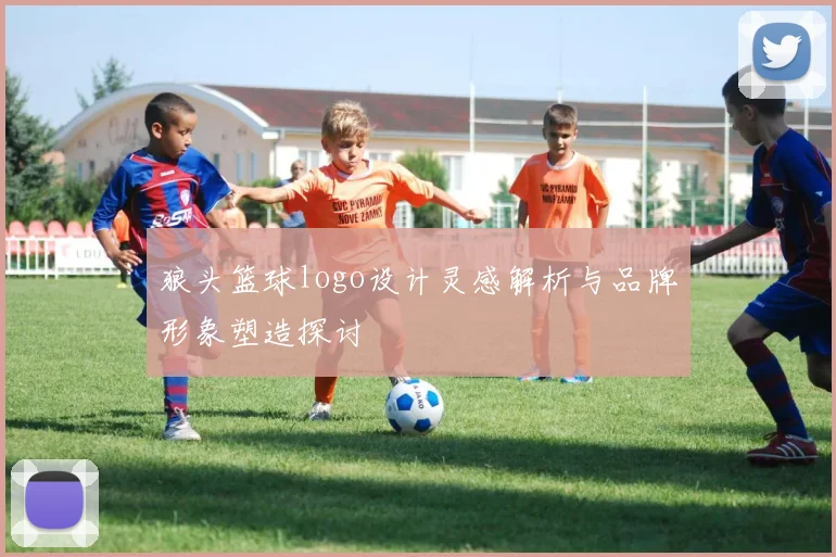 狼头篮球logo设计灵感解析与品牌形象塑造探讨